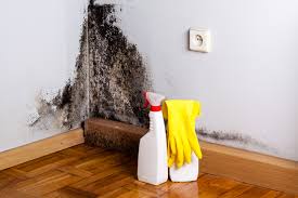 Dehumidification Services in Bartonsville, MD